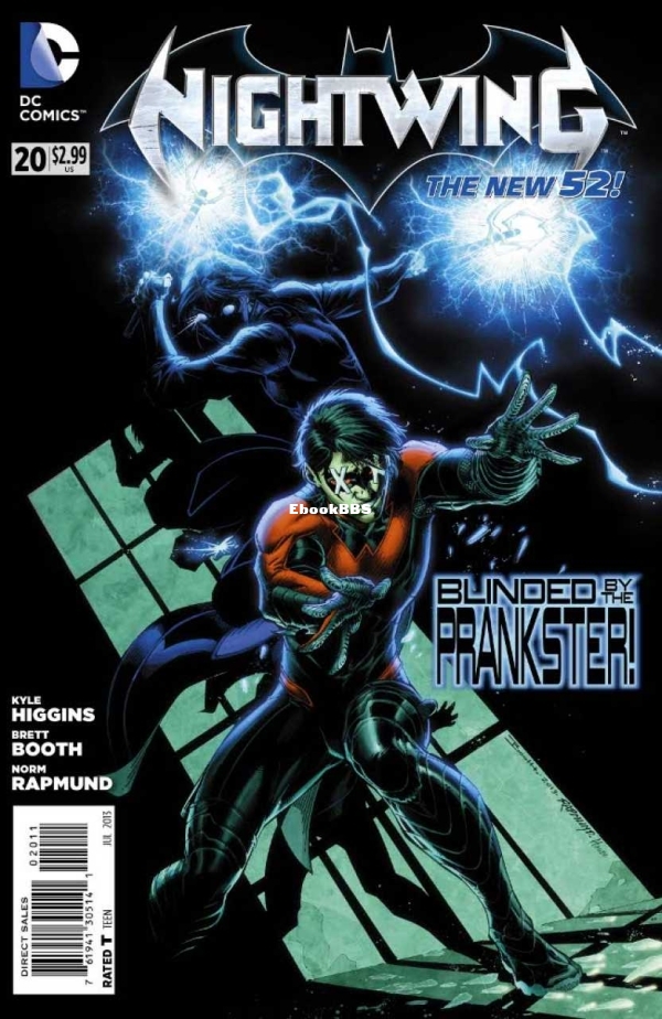 3041721-nightwing.jpg