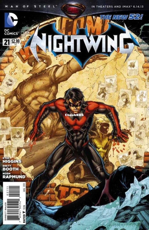 3100786-nightwing.jpg