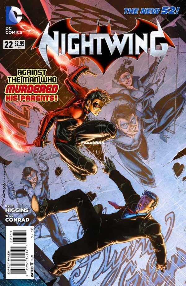 3160480-nightwing.jpg