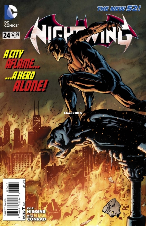3359785-nightwing.jpg