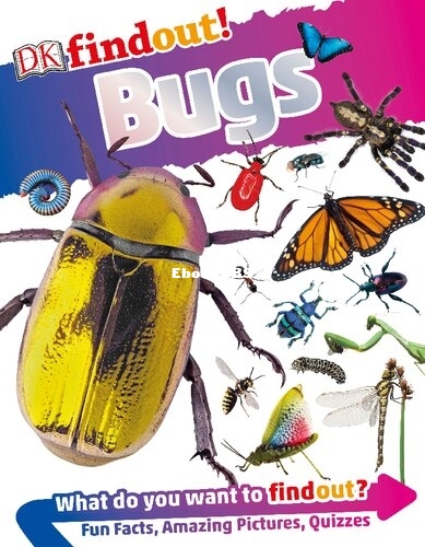 Bugs (DK Findout!).jpg