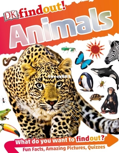 DK findout! Animals.jpg