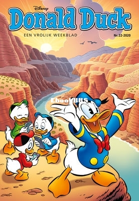 nl_dd2020_22a_001.jpeg