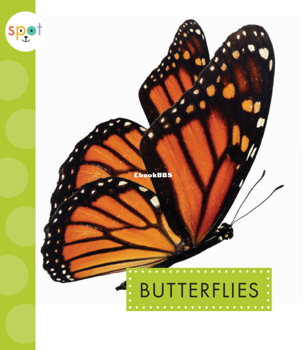 Butterflies (Spot Creepy Crawlies) - 1.png