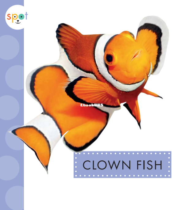 Clown Fish (Spot Ocean Animals) - 1.png