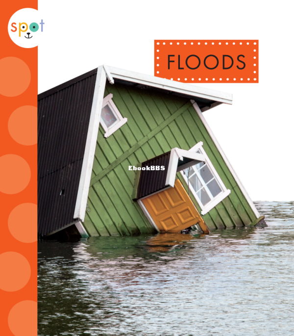 Floods (Spot Extreme Weather) - 1.png