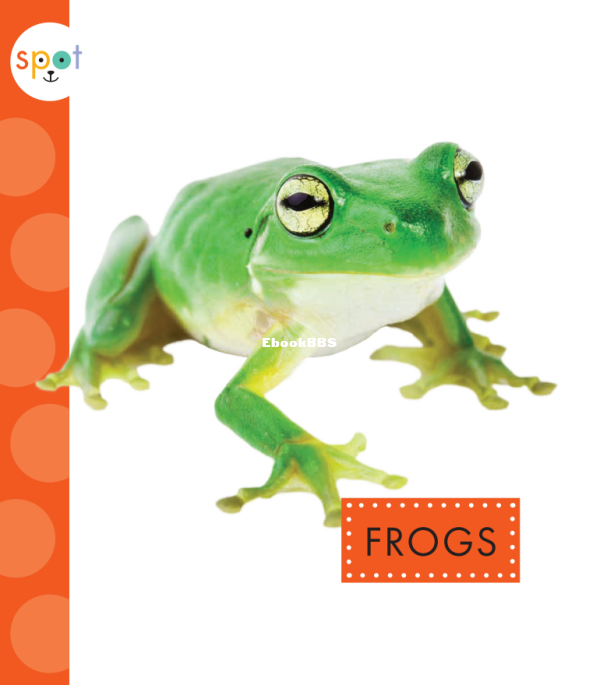 Frogs (Spot Backyard Animals) - 1.png