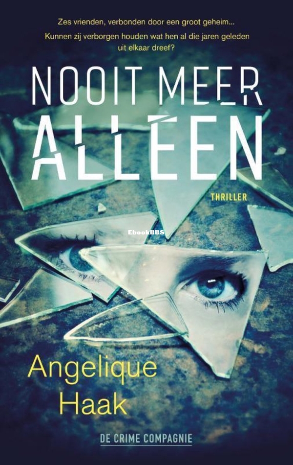 Nooit Meer Alleen - Angelique Haak - Dutch