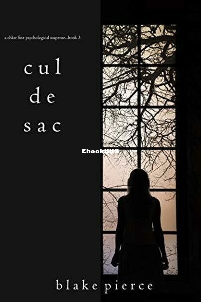 Cul de Sac.jpg
