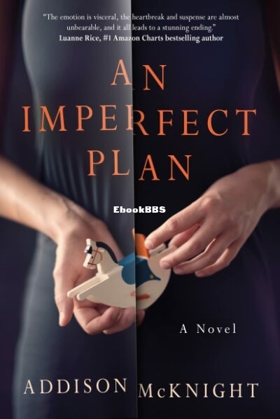 An Imperfect Plan.jpg