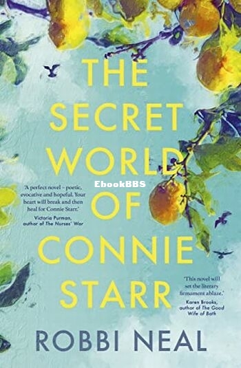 The Secret World of Connie Starr.jpg