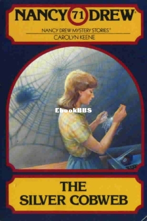 The Silver Cobweb.jpg