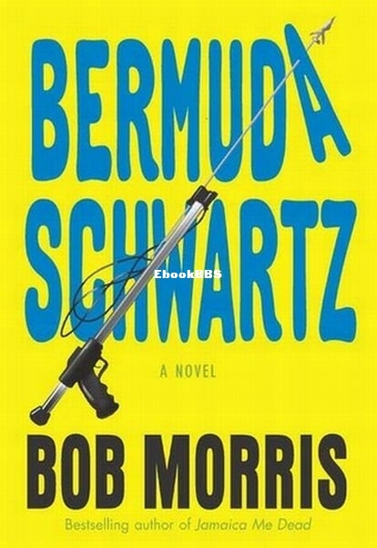 Bermuda Schwartz.jpg