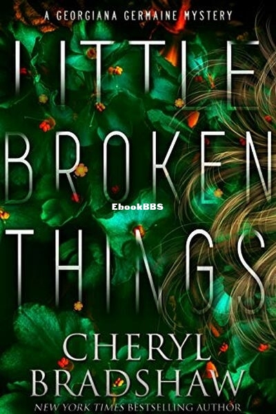 Little Broken Things.jpg