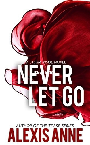 Never Let Go_ A Storm Inside Novel - Alexis Anne.jpg