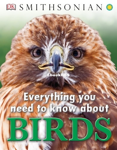 Everything You Need to Know About Birds.jpg