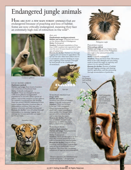 DK Eyewitness - Jungle (2009) - 67.png