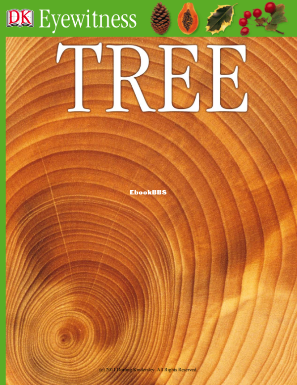 DK Eyewitness - Tree (2005) - 1.png