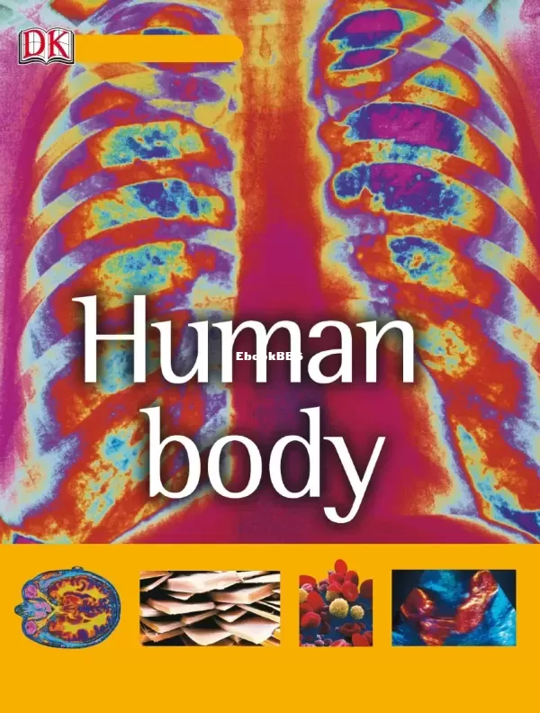 DK-Guide-to-the-Human-Body.jpg