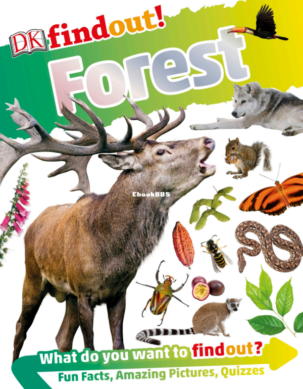 DK Findout! Forest - Cat Hickey - 1.png