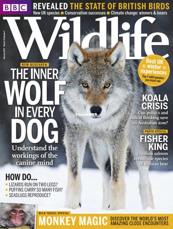 BBC Wildlife 2014 02 - 1.png