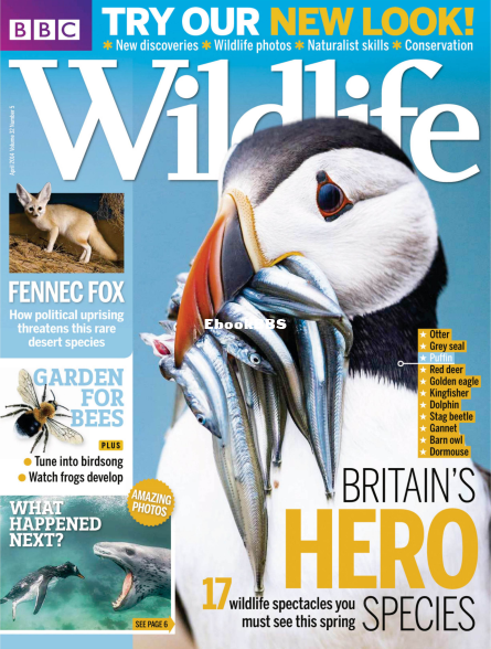 BBC Wildlife 2014 05.png