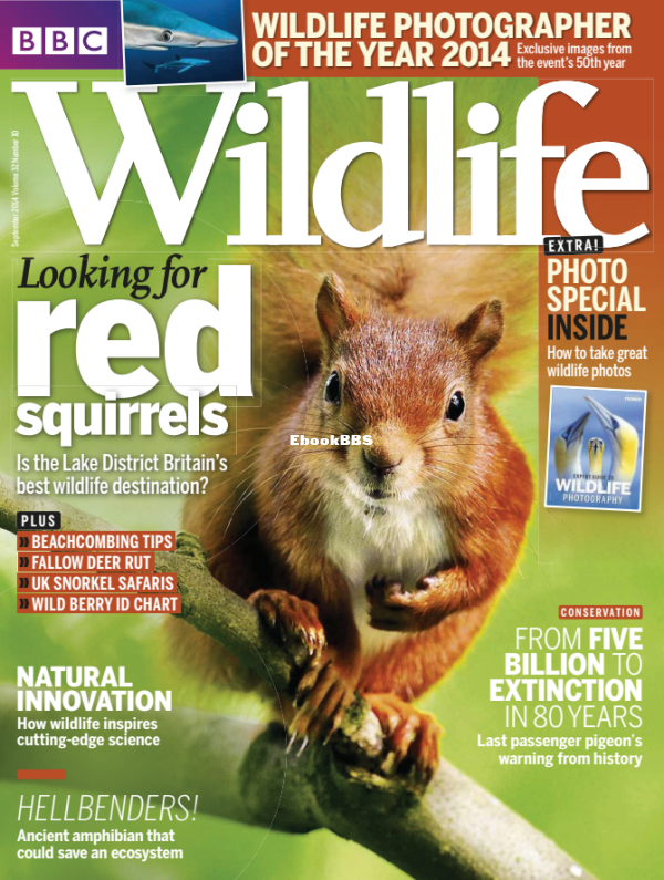 BBC Wildlife 2014 10.png