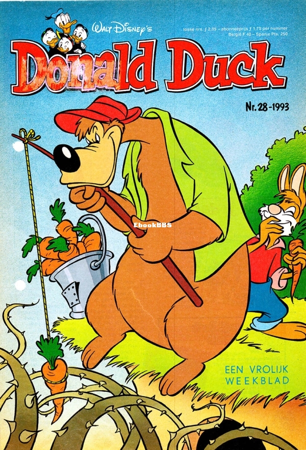 28.jpg