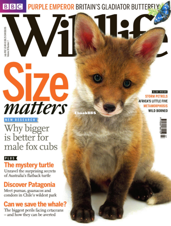 BBC Wildlife 07.2012_ - 1.png
