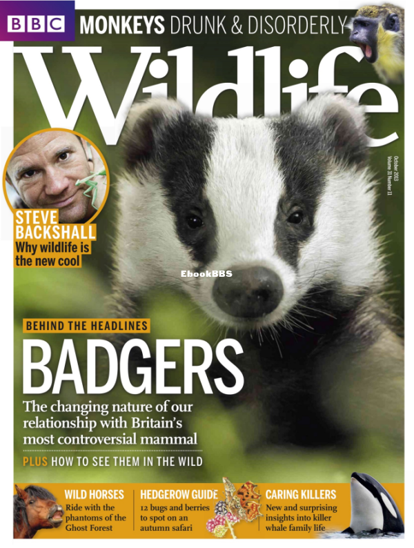 BBC Wildlife 11.2013 - 1.png