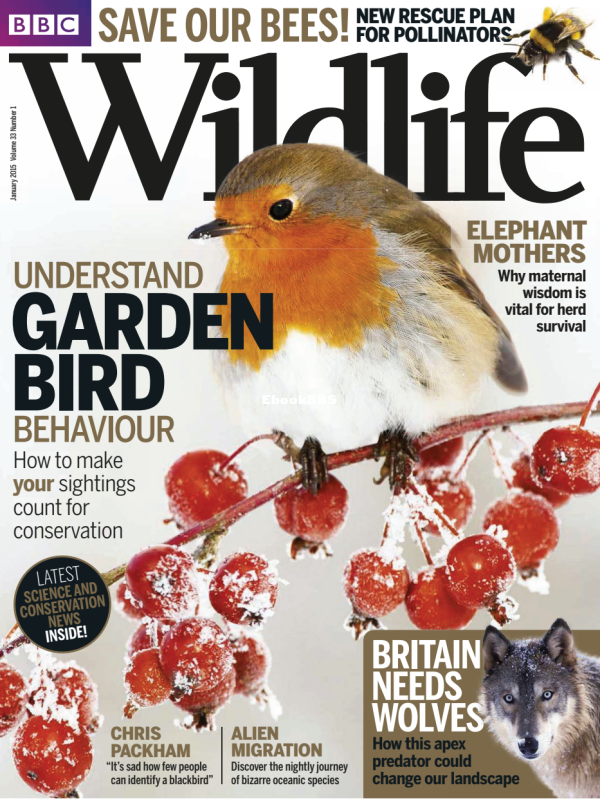 BBC_Wildlife_01_2015 - 1.png