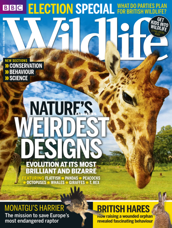 BBC_Wildlife_04_2015 - 1.png