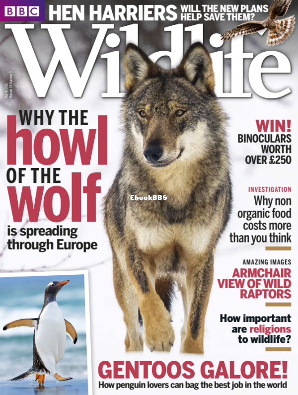 BBC Wildlife - 03.2016 - 1.png