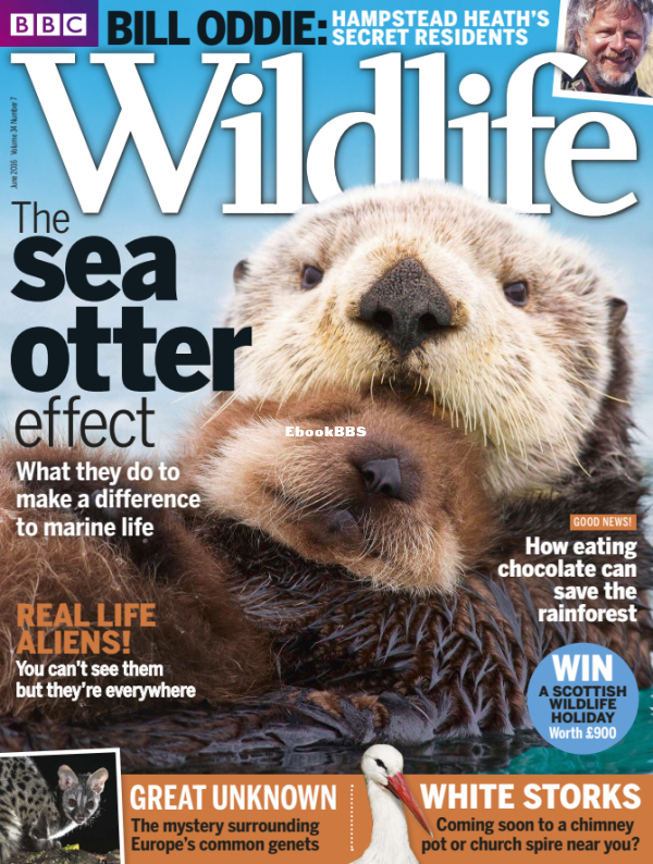 BBC Wildlife - 07-2016 - 1.png