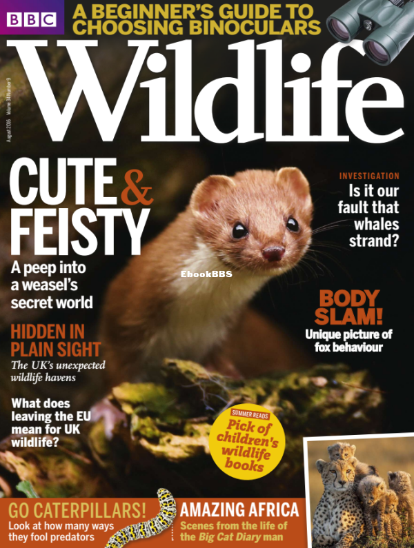 BBC Wildlife - 09.2016 - 1.png
