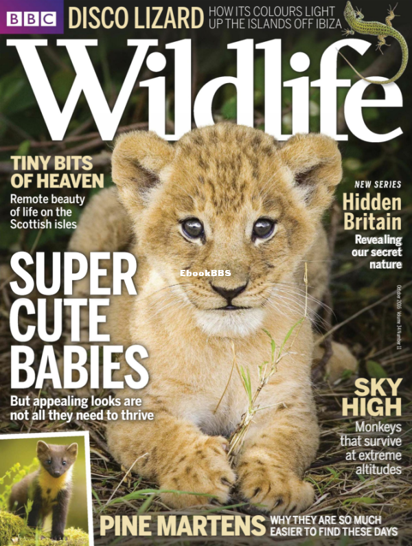 BBC Wildlife - 11-2016 - 1.png