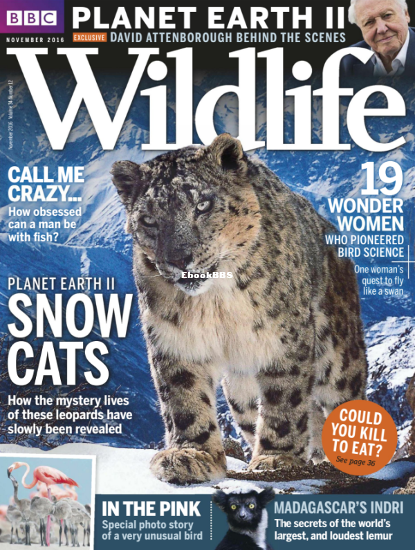 BBC Wildlife - 12-2016 - 1.png