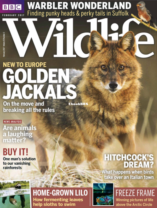 BBC_Wildlife 2017-02 - 1.png