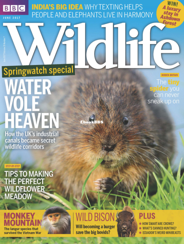 BBC_Wildlife 2017-07 - 1.png