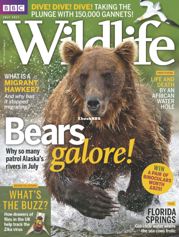 BBC_Wildlife 2017-08 - 1.png