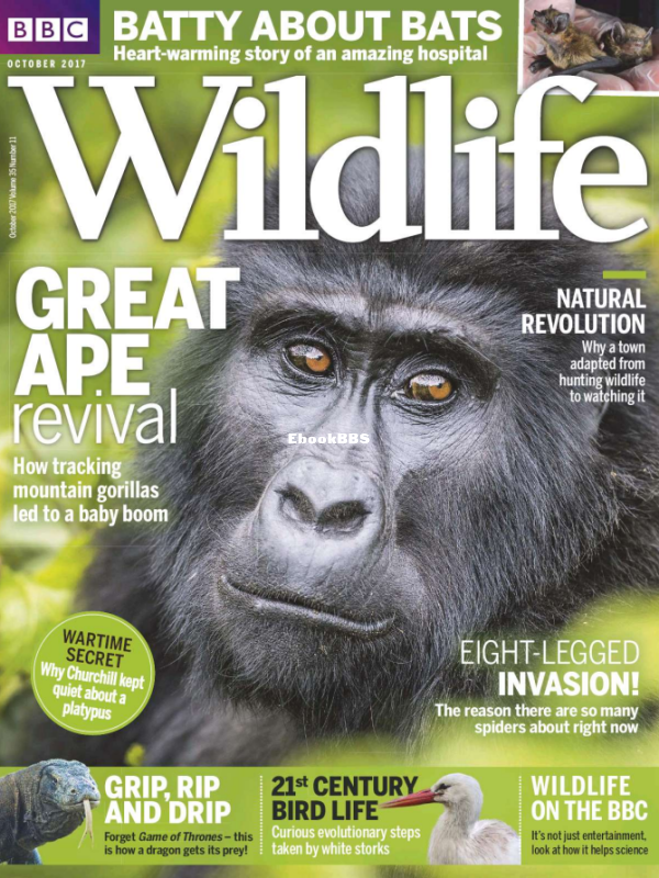BBC_Wildlife 2017-11 - 1.png