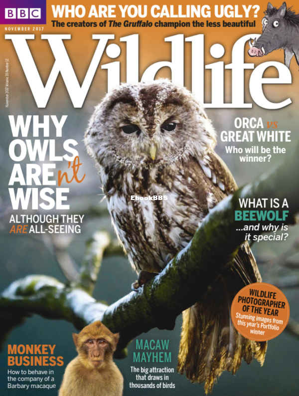 BBC_Wildlife 2017-12 - 1.png