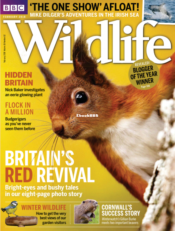 BBC Wildlife 02.2018 - 1.png