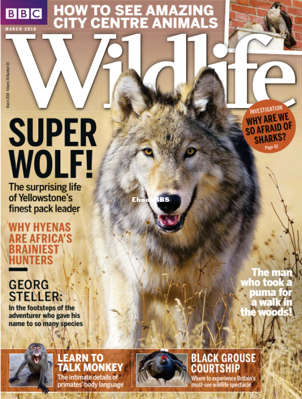 BBC Wildlife 03.2018 - 1.png