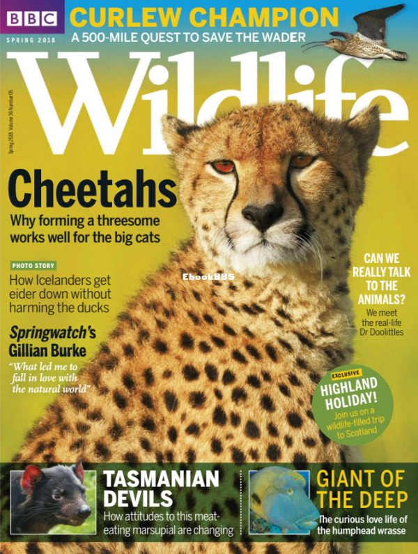 BBC Wildlife 06 2018 - 1.png
