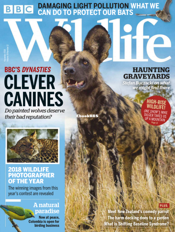 BBC Wildlife 12.2018 - 1.png