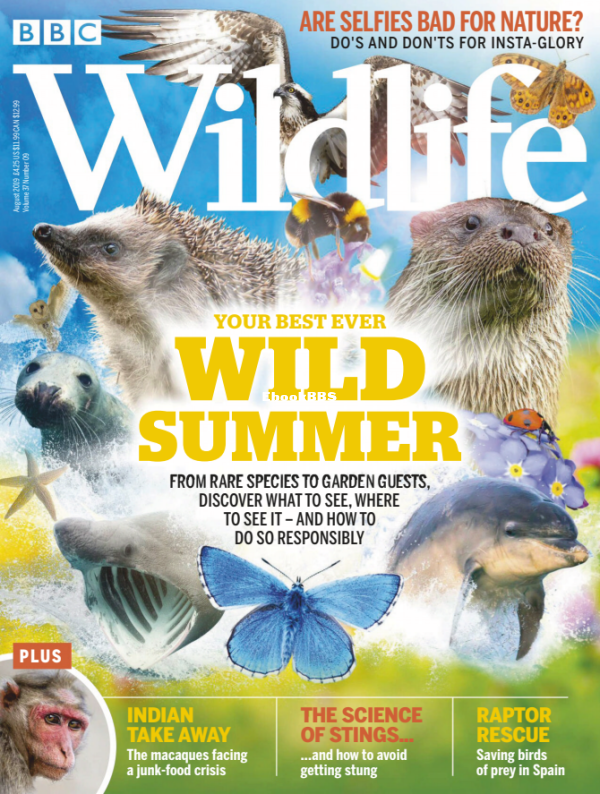 BBC Wildlife 09.2019 - 1.png