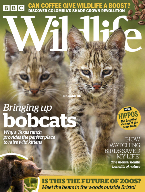 BBC Wildlife 11.2019 - 1.png