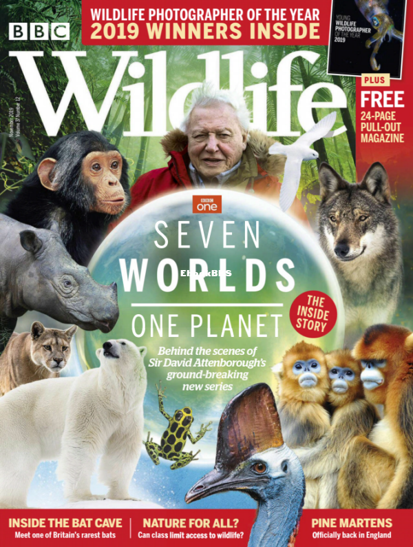 BBC Wildlife - 12.2019 - 1.png