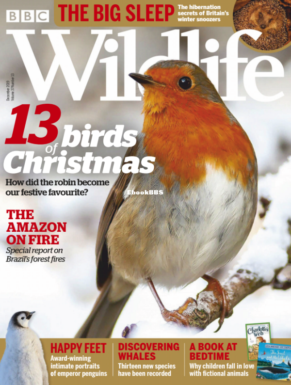 BBC Wildlife 13.2019 - 1.png